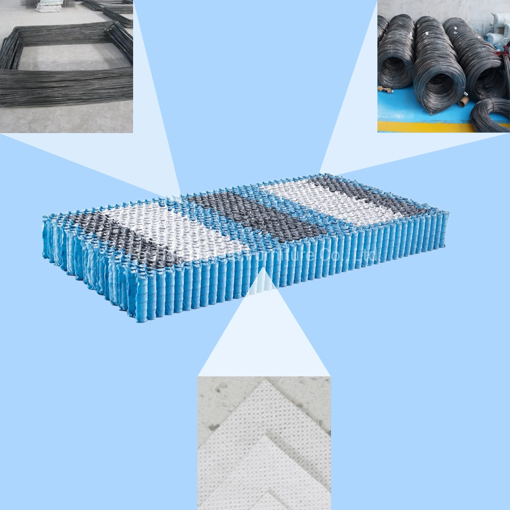 Customized All Size Zone Mattresses Pocket Spring Unit Interval 5-Zone Pocket Spring Unit Use for Mattresses